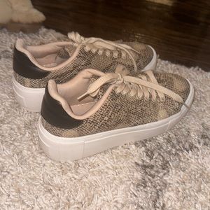 Platform snake skin tennis shoe. Never worn